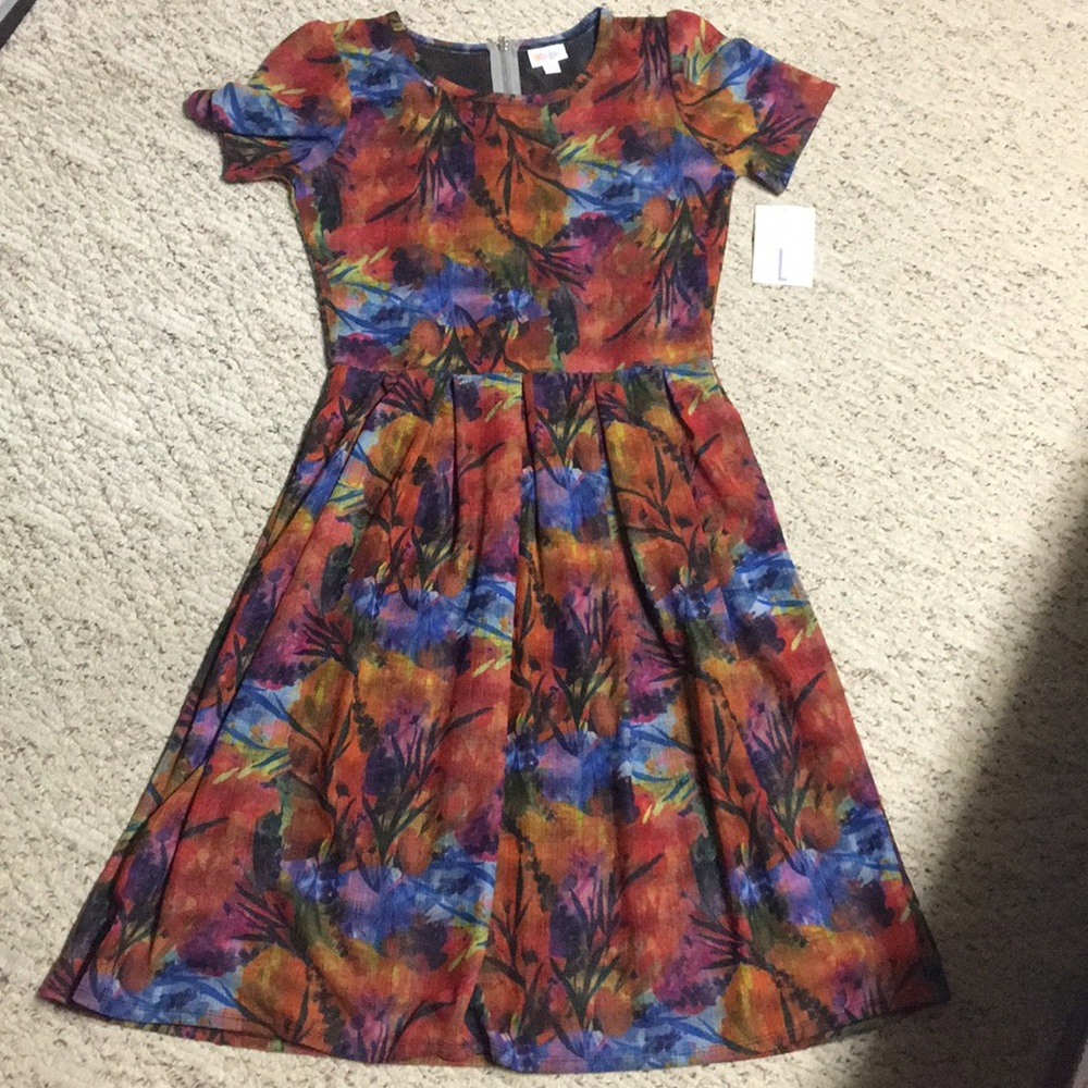 Amelia style Lularoe dress.